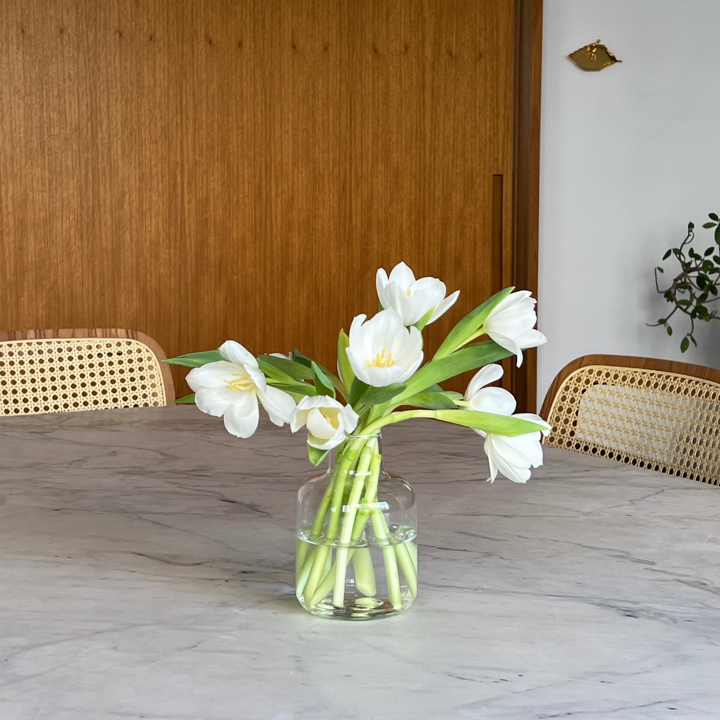 arranjo tulipas