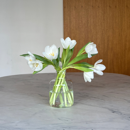 arranjo tulipas