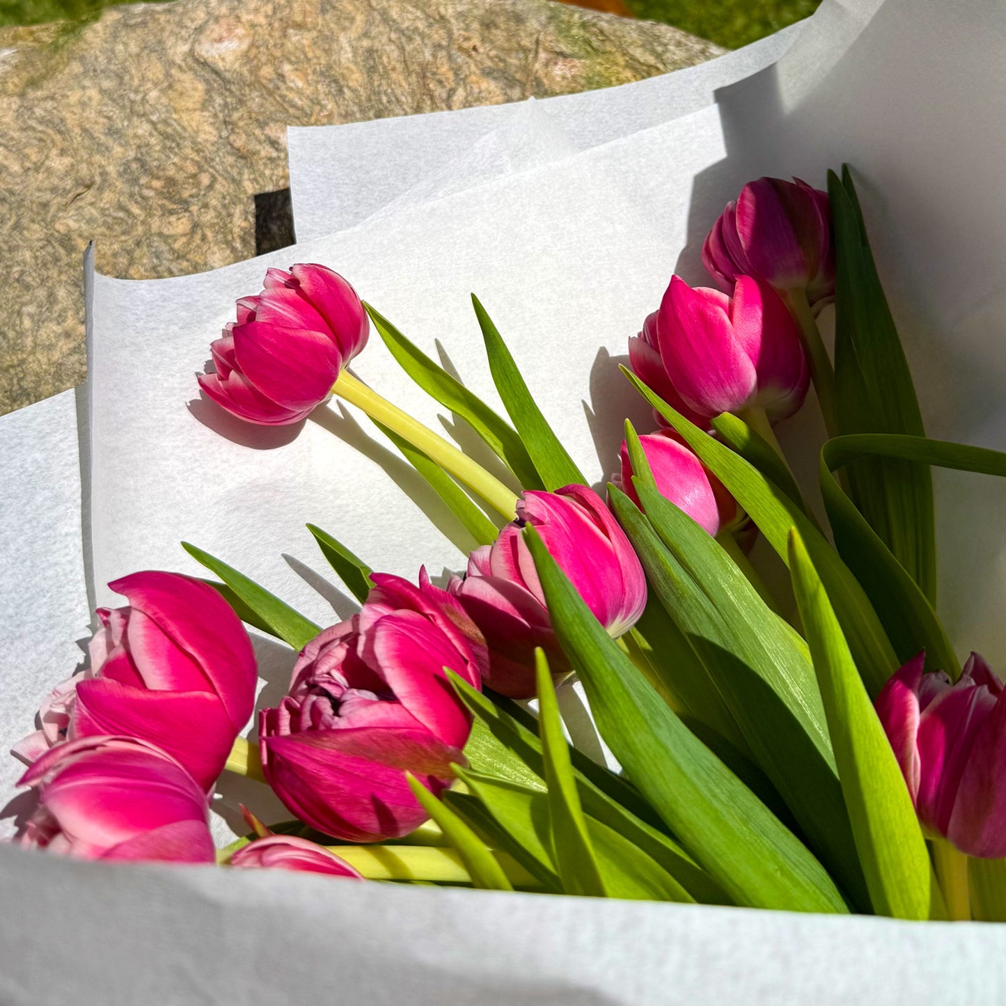 buquê tulipas